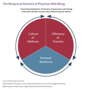 The-Reciprocal-Domains-of-Physician-Well-Being-1